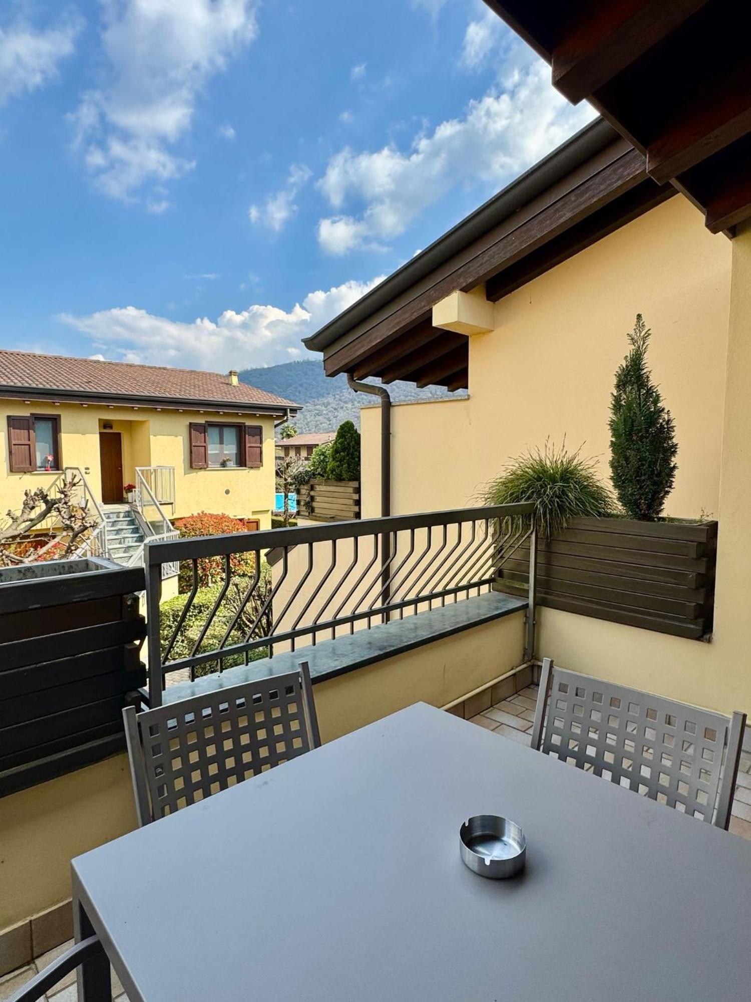 Ulivi 4*