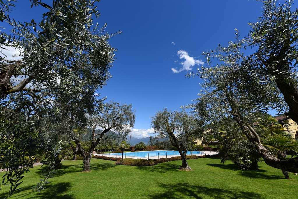 Ulivi Hotel Paratico