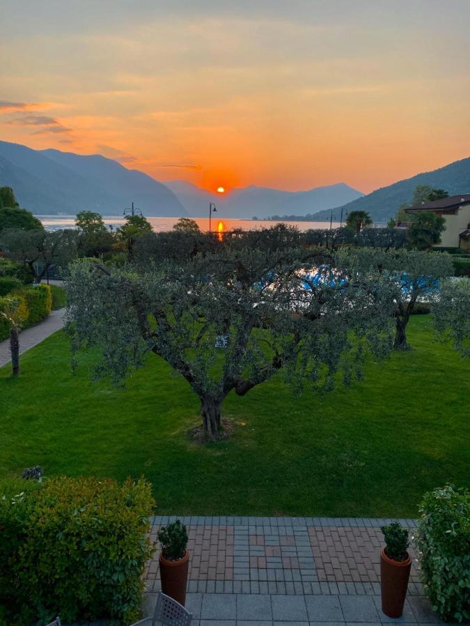 Ulivi 4* Paratico